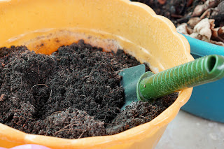 Potting mix Image Source: Modern Farmer