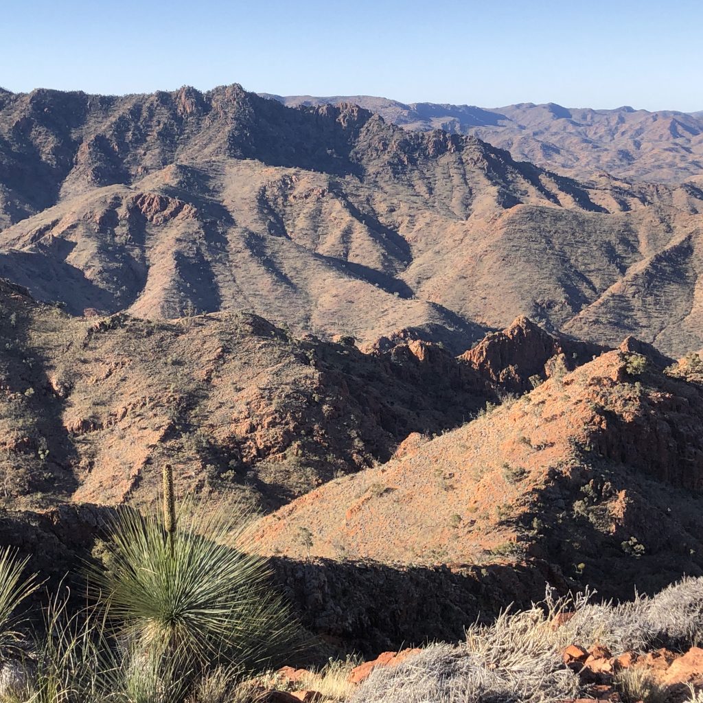 Arkaroola