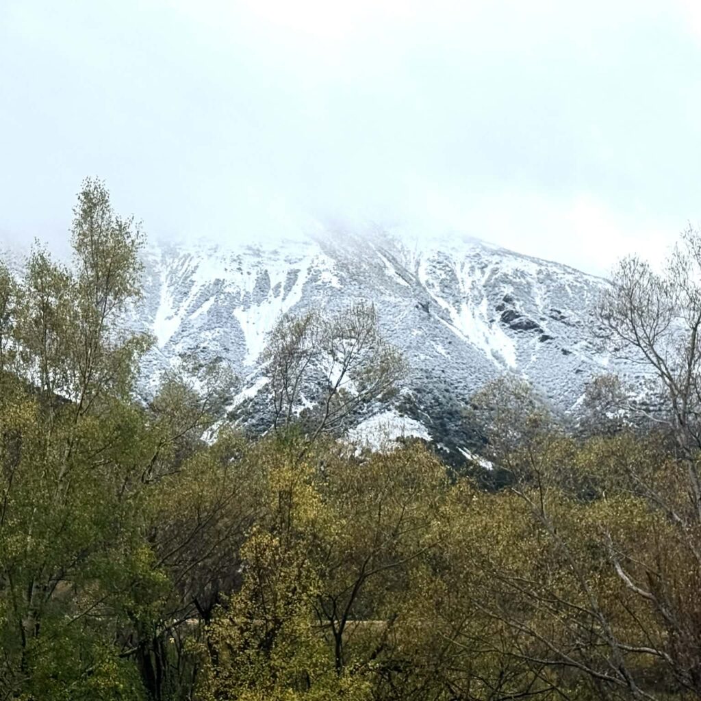 Arthur's Pass New Zealand