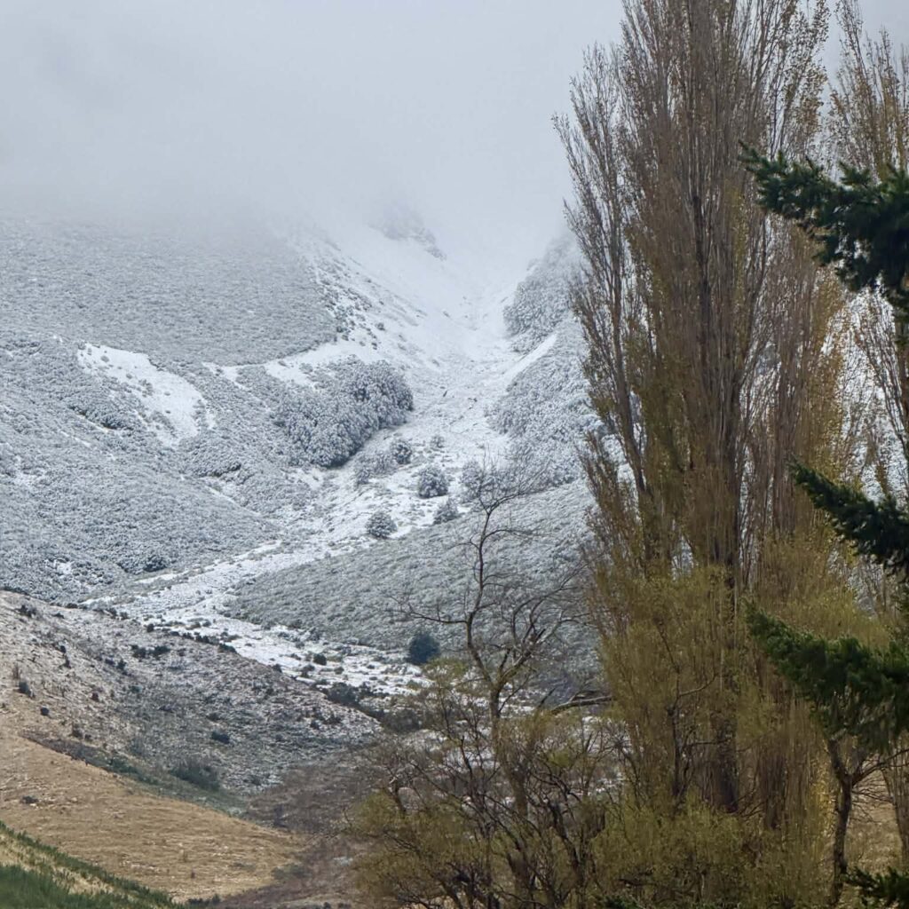 Arthur's Pass New Zealand