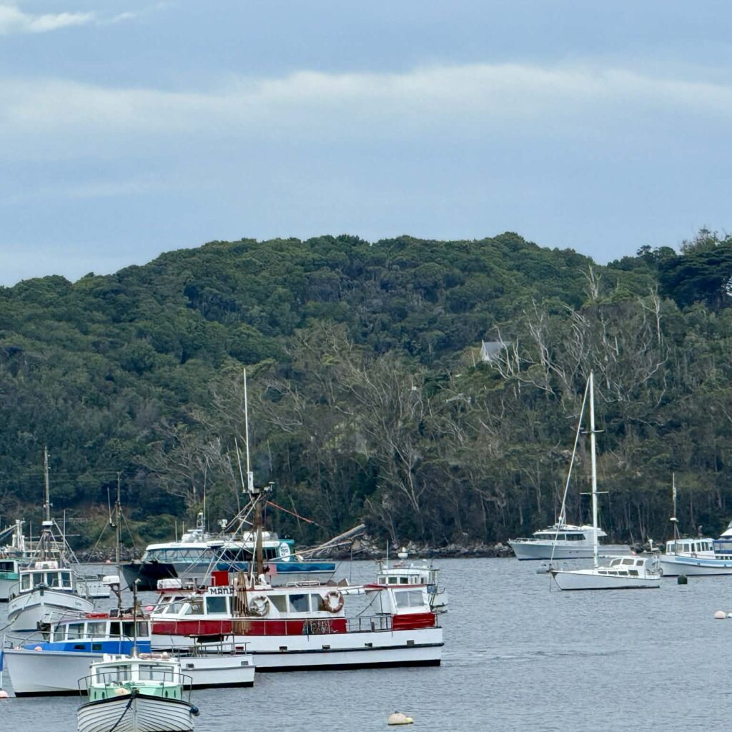 Stewart Island