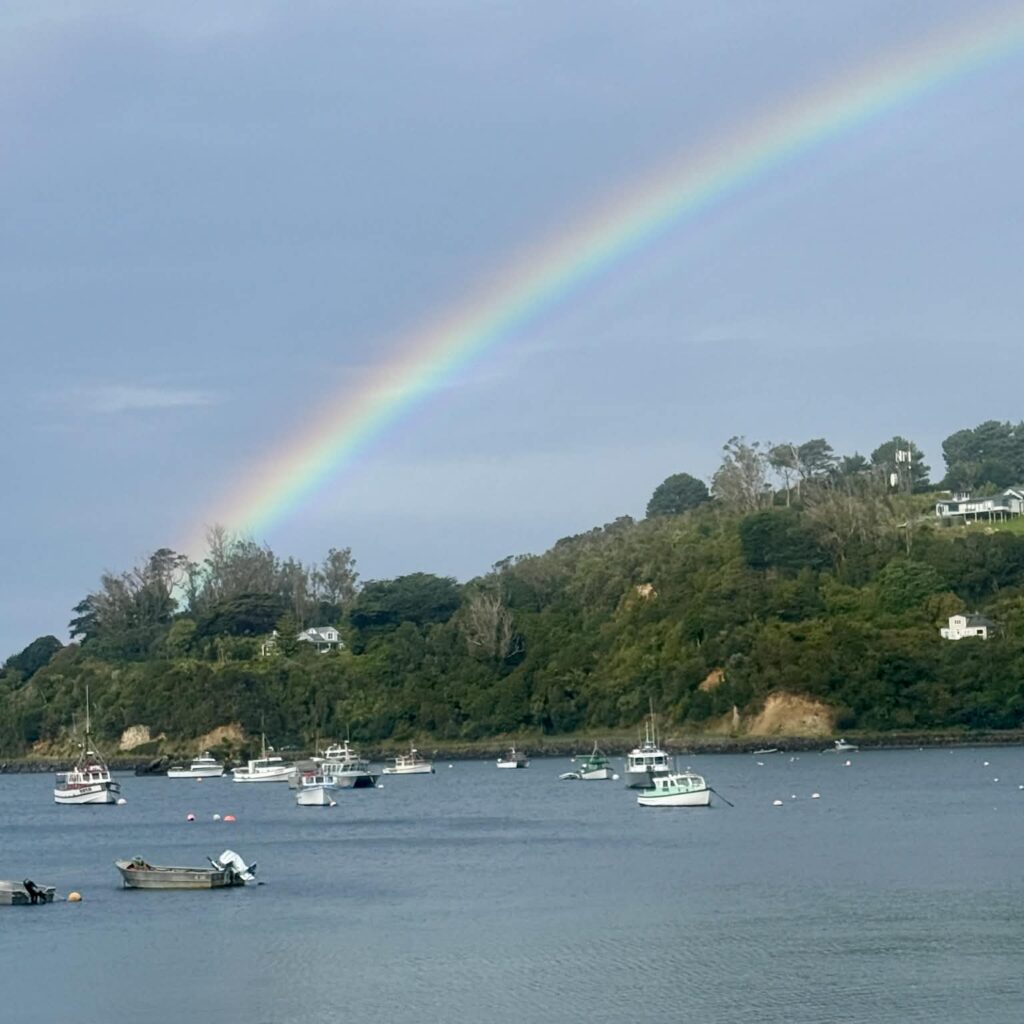 Stewart Island