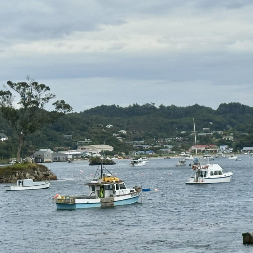 Stewart Island