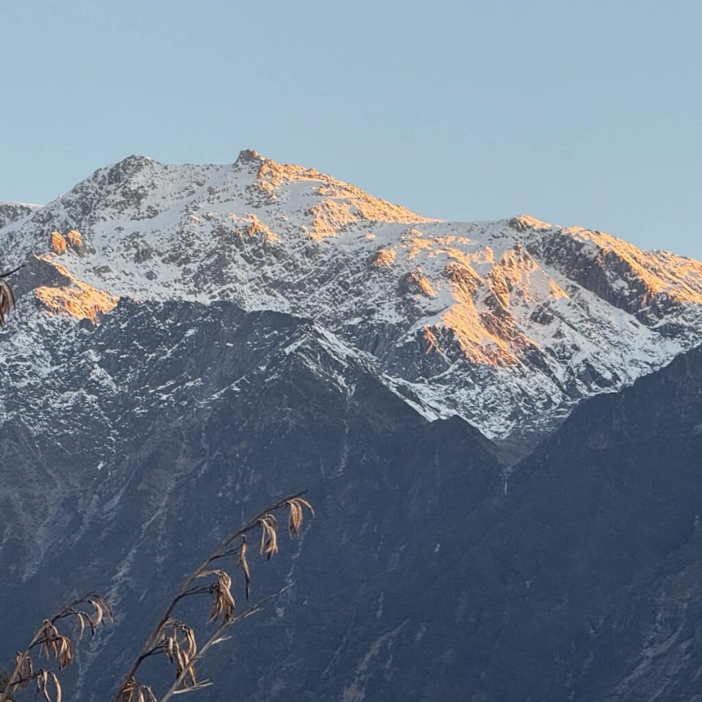 Whataroa